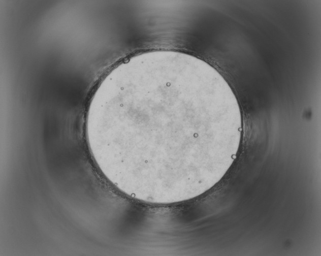 X0000115680301200912241446