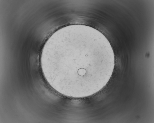 X0000115680302200912241446