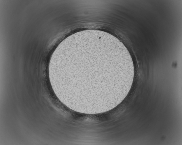 X0000115680303200912241446