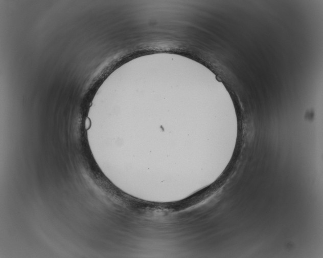 X0000115680304200912241446