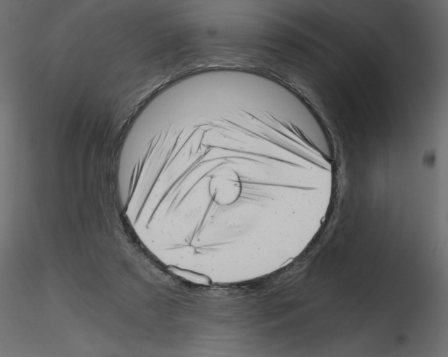 X0000115680305200912241446