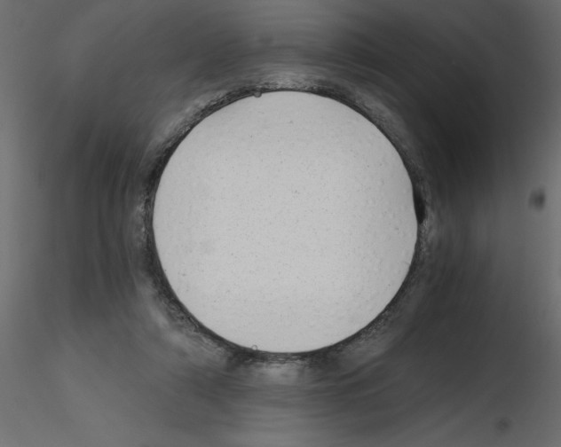 X0000115680306200912241446