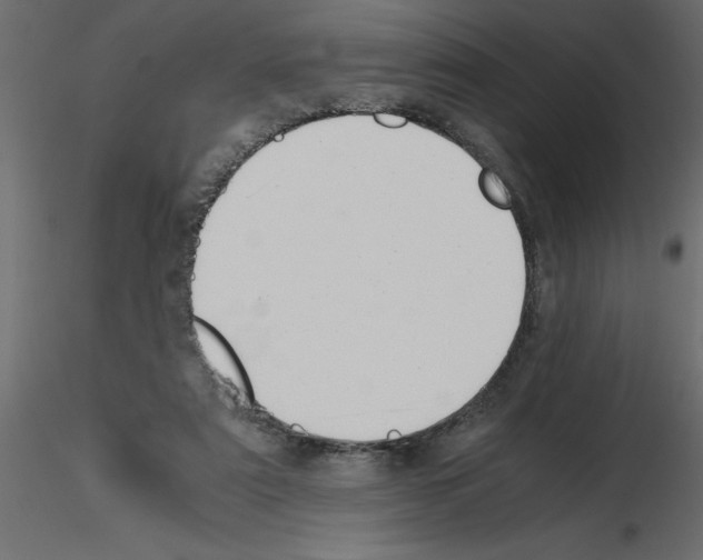 X0000115680307200912241446