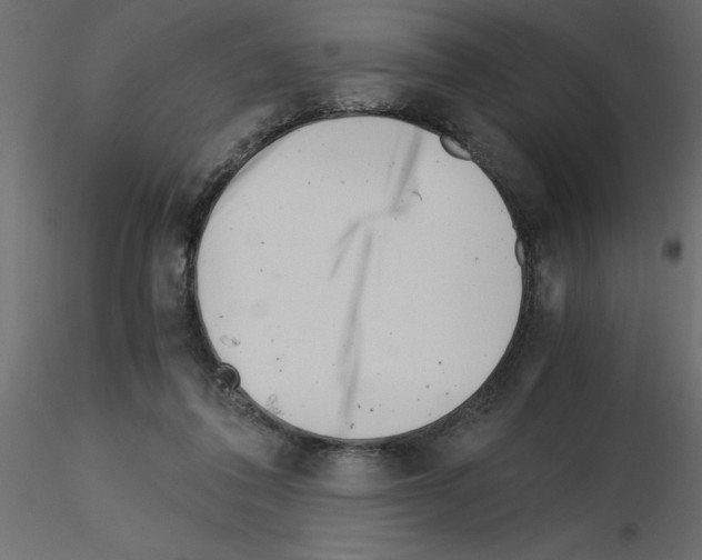 X0000115680308200912241446