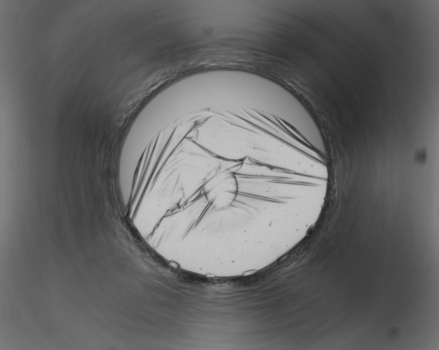 X0000115680309200912241446