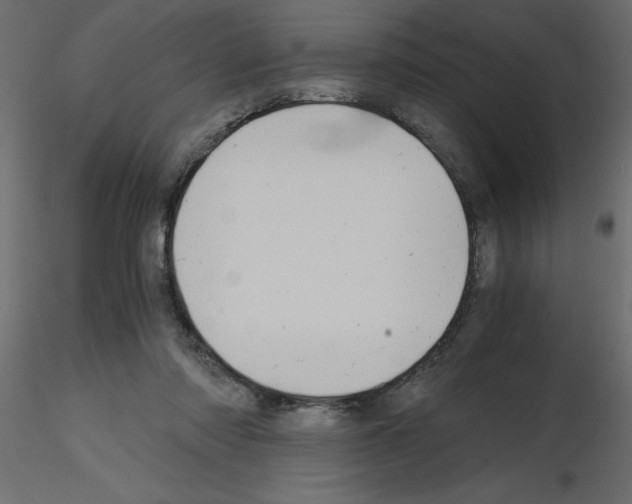 X0000115680310200912241446