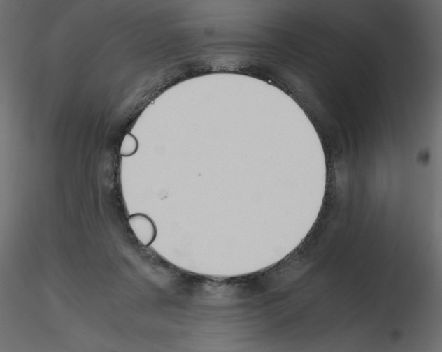 X0000115680311200912241446
