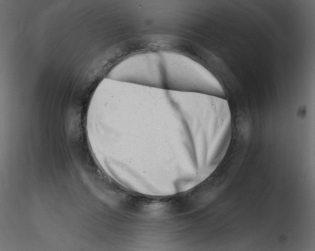X0000115680312200912241446