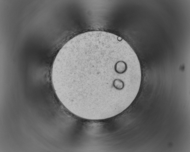 X0000115680313200912241446