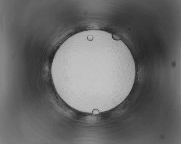 X0000115680314200912241446
