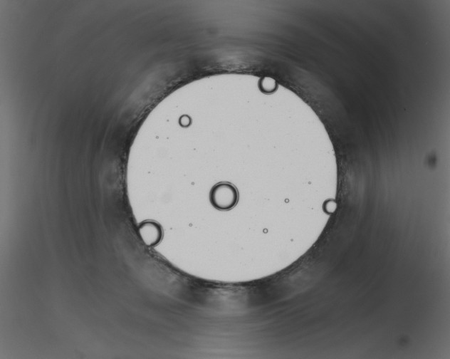 X0000115680317200912241446