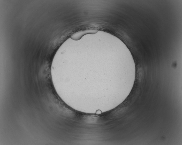 X0000115680318200912241446