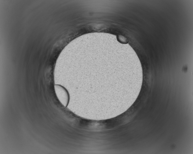 X0000115680319200912241446