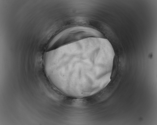 X0000115680320200912241446