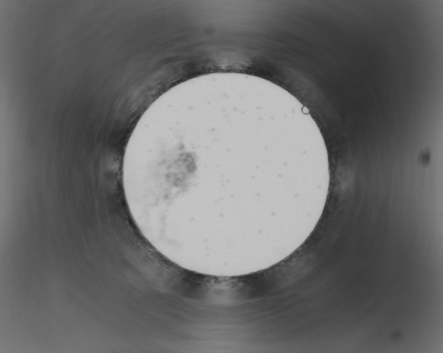 X0000115680321200912241446