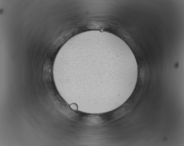 X0000115680322200912241446