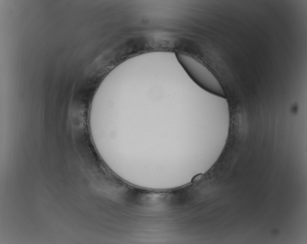 X0000115680323200912241446