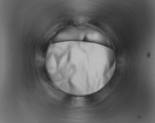 X0000115680324200912241446