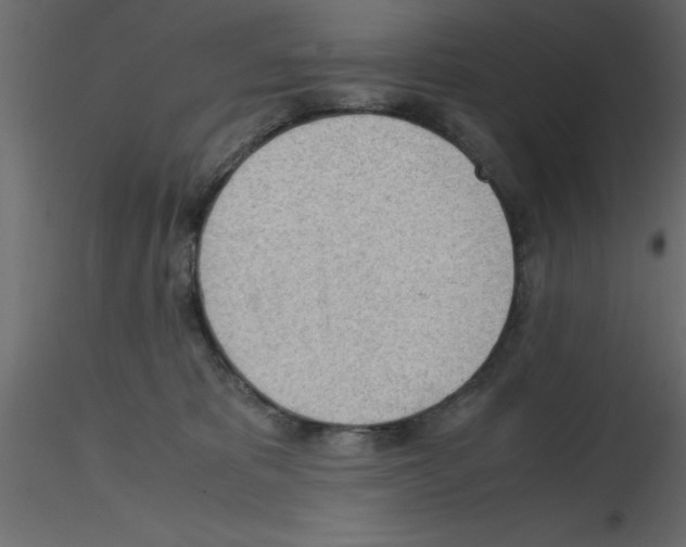 X0000115680325200912241446