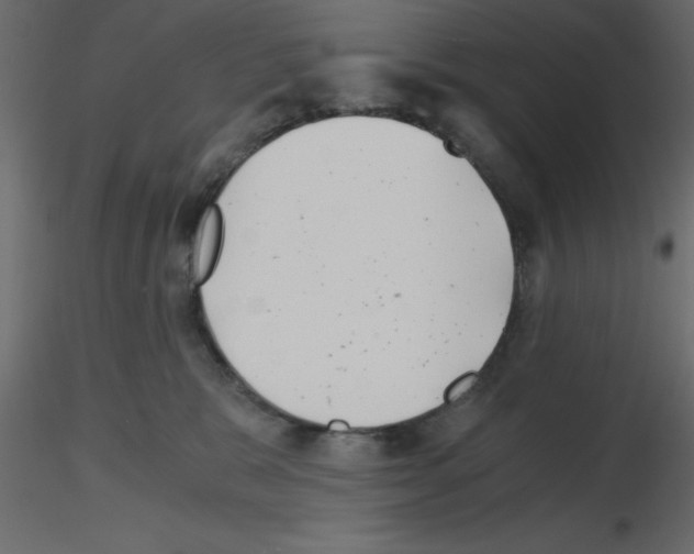 X0000115680327200912241446