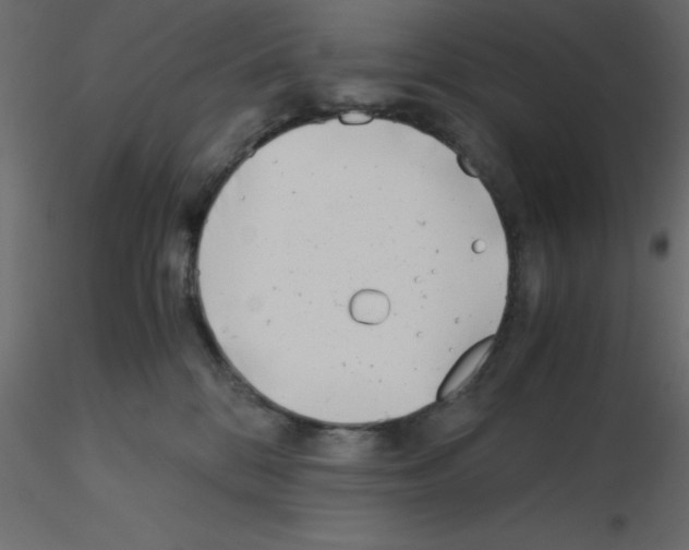 X0000115680328200912241446