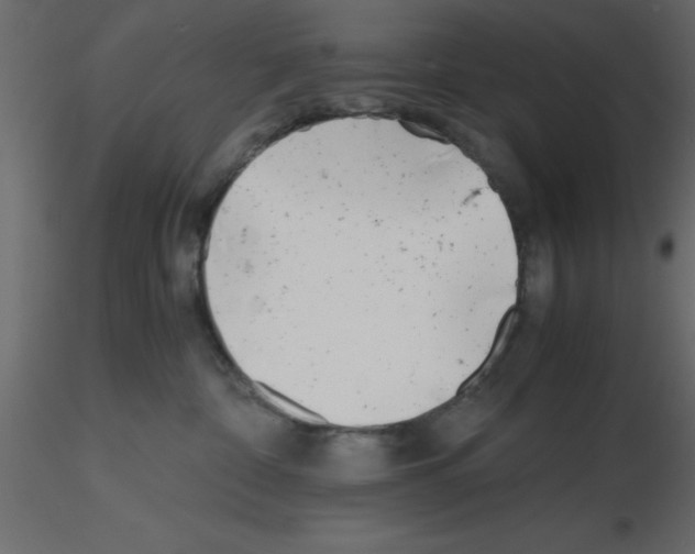 X0000115680332200912241446
