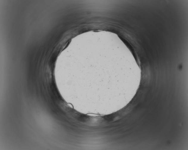 X0000115680333200912241446
