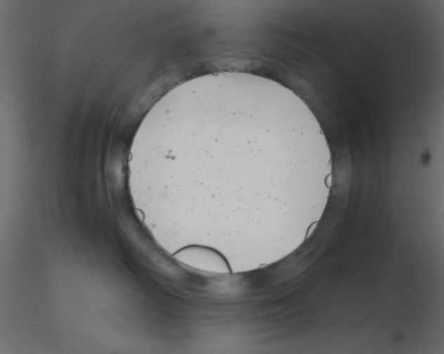 X0000115680334200912241446