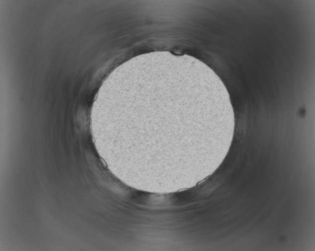 X0000115680335200912241446