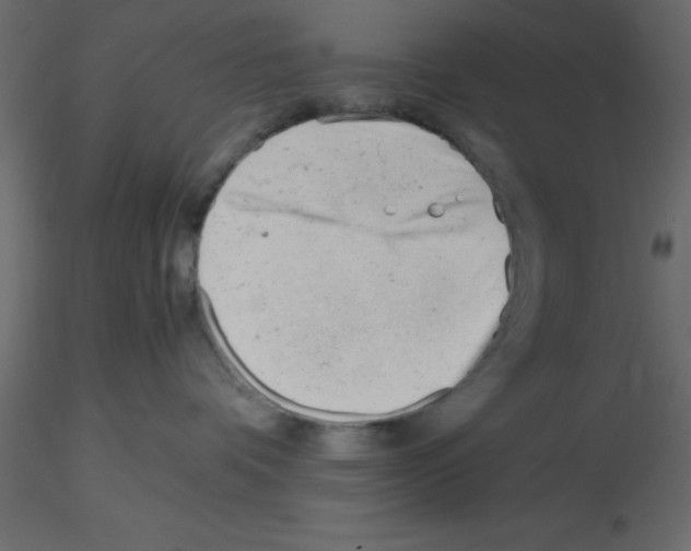 X0000115680336200912241446