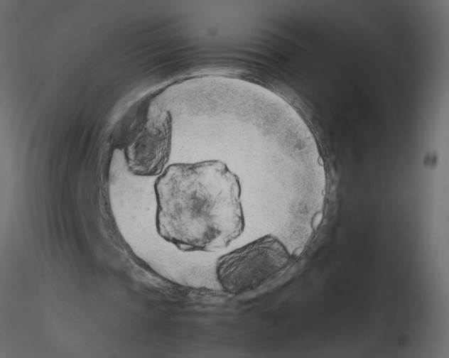 X0000115680337200912241445