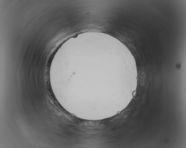 X0000115680338200912241445