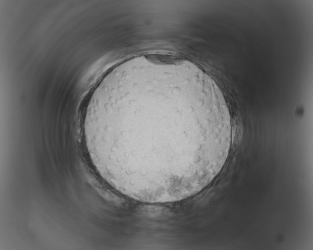 X0000115680339200912241445