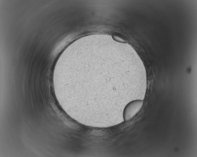 X0000115680341200912241445