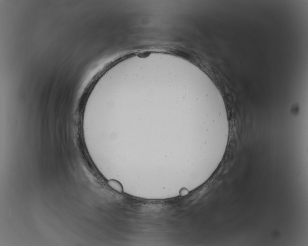 X0000115680342200912241445