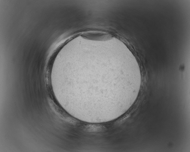 X0000115680343200912241445