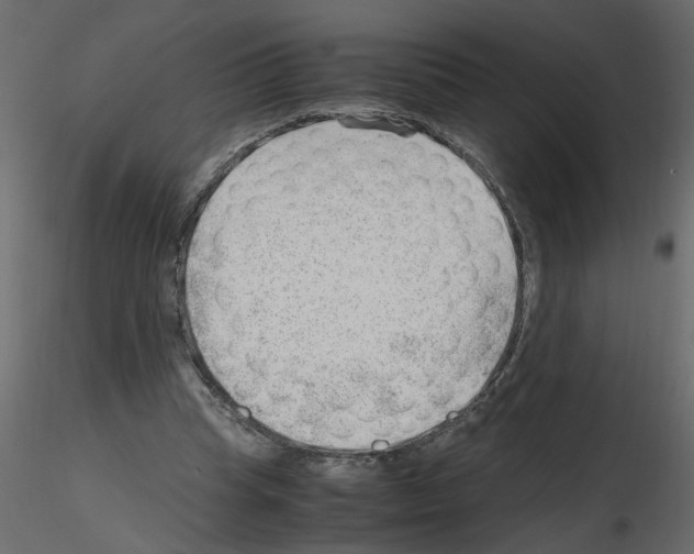 X0000115680345200912241445