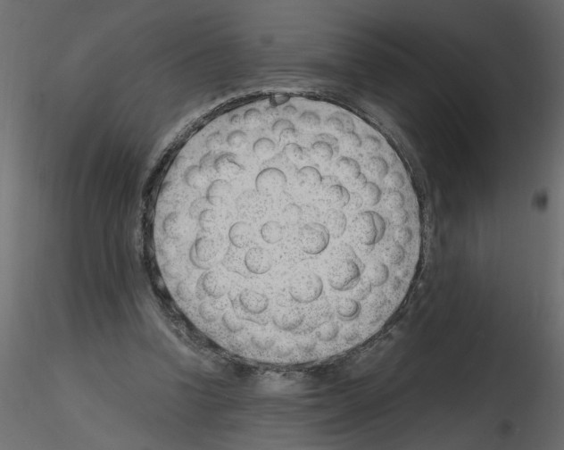 X0000115680346200912241445