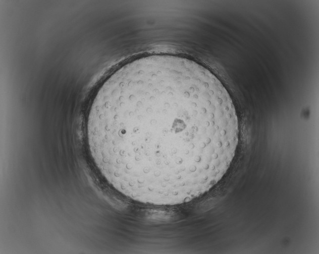X0000115680347200912241445
