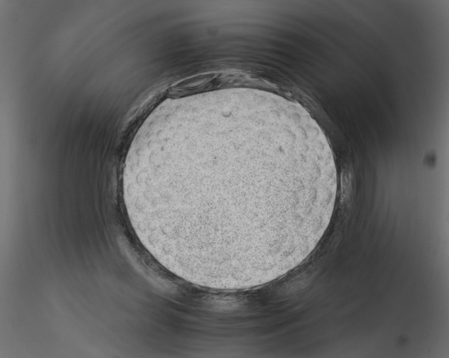 X0000115680349200912241445