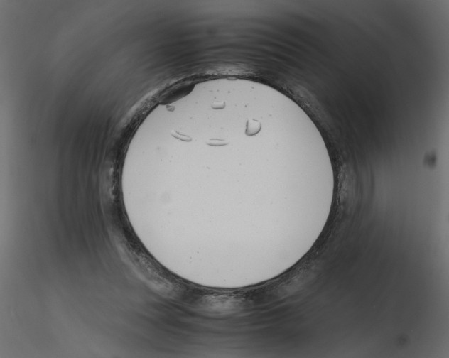 X0000115680351200912241445