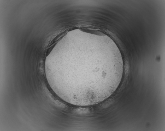 X0000115680353200912241445