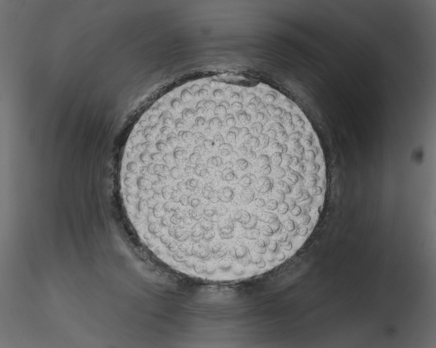 X0000115680354200912241445