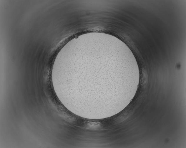 X0000115680355200912241445