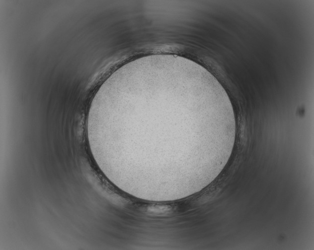 X0000115680357200912241445