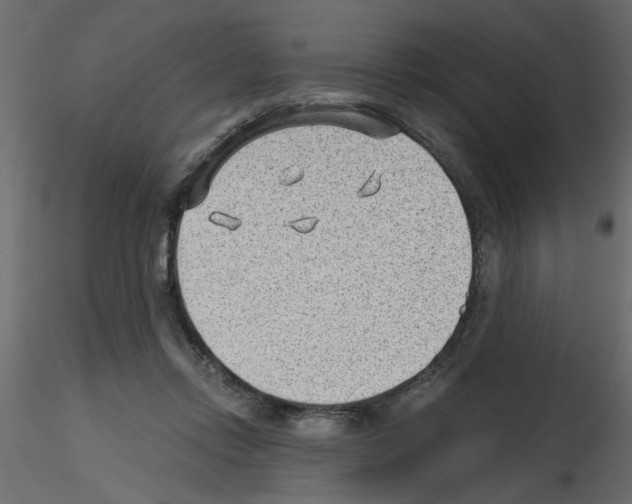 X0000115680358200912241445