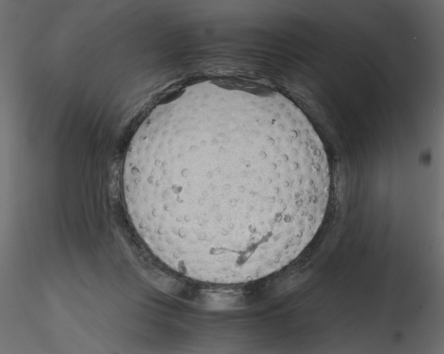 X0000115680359200912241445