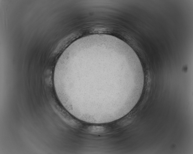 X0000115680361200912241445