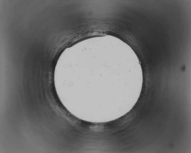 X0000115680362200912241445