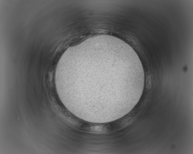 X0000115680365200912241445